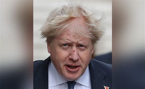 Boris Johnson Hair : Boris Johnson Hair Show Png Photo 771 Free Png ...