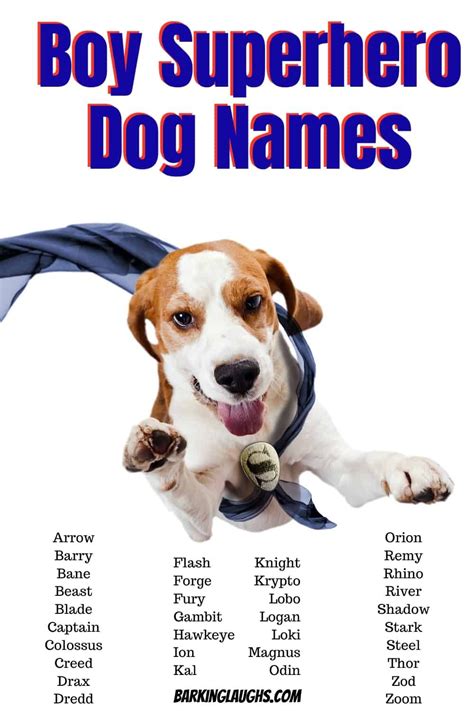 Good Boy Dog Names, Cute Puppy Names, Girl Dog Names, Best Dog Names, Cute Names For Dogs, Pet ...