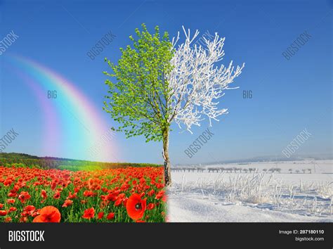 Winter Spring Image & Photo (Free Trial) | Bigstock