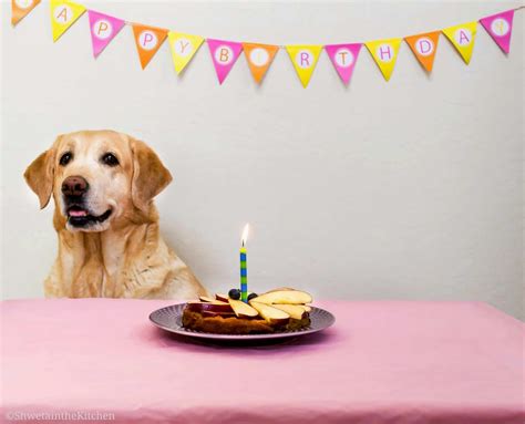 Apple Peanut Butter Dog Cake - Dog Birthday Cake - Shweta in the Kitchen