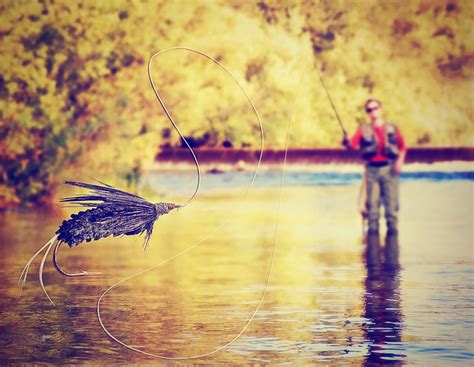 Types of Fish to Catch Fly Fishing - Freshwater and Saltwater Tips