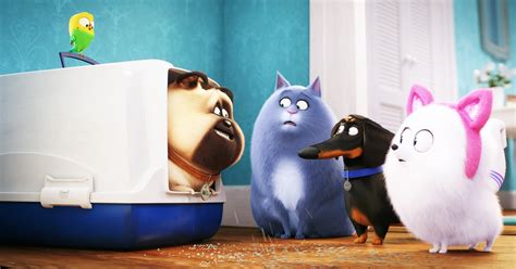 Best Movies About Animals on Netflix | POPSUGAR UK Pets