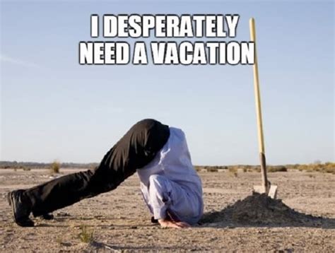 20 I Need A Vacation Memes That’ll Get You Laughing – SheIdeas