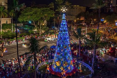 a large christmas tree is lit up at night