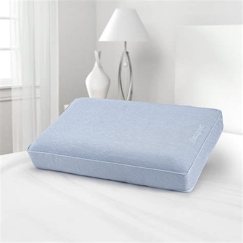 Beautyrest Silver Aquacool Memory Foam Pillow With Removable Cover, StandardQueen - Walmart.com ...