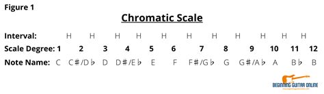 Chromatic Scale - Music Theory — BGO