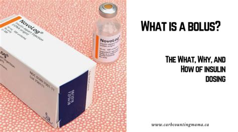 What is a Bolus? The What, Why, and How of Insulin Dosing