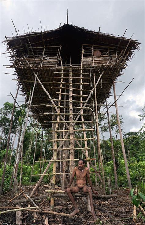 Meet the Lost Treehouse tribe of New Guinea | Paalwoning, Boomhut, Papoea nieuw guinea