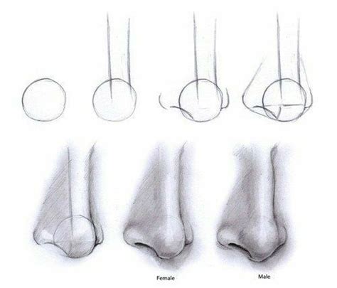 Pasos Para Dibujar una Nariz Fácil desde Cero a Lapiz - Dibujos de ...