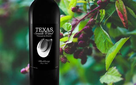 Blackberry Fruit Wine - Texas SouthWind Vineyard & Winery