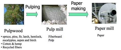 Paper making – Paul Wu's Blog