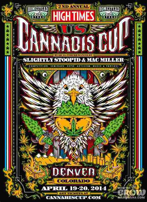 Best Cannabis Cup Winner Seed Strains