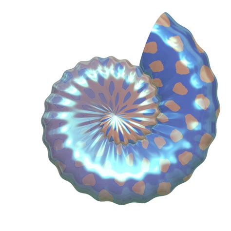 Free Seashells Cliparts, Download Free Seashells Cliparts png images, Free ClipArts on Clipart ...