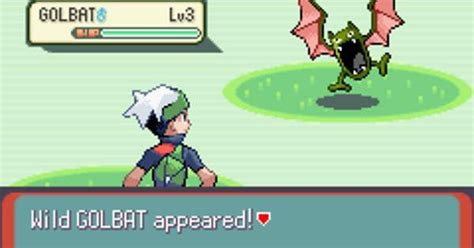 I found a shiny Golbat while playing Emerald Randomizer : r/pokemon