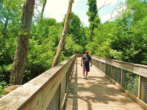 Walking the greenway in Suwanee, Georgia Suwanee Georgia, North Georgia, Railroad Tracks, Robin ...