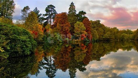 Autumn River Landscape Wallpaper Background Best Stock Photos - Image ...