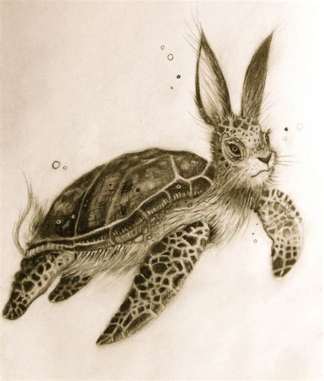 Feathered Turtle