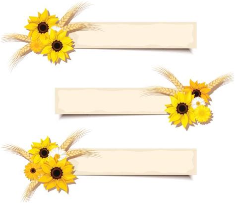 Sunflower Banner Illustrations, Royalty-Free Vector Graphics & Clip Art ...