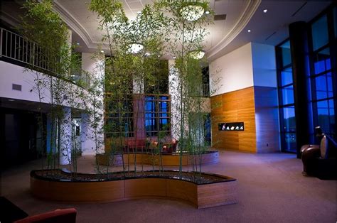 commercial lobby with plants | Lobby designs, Healthcare design, Zen design