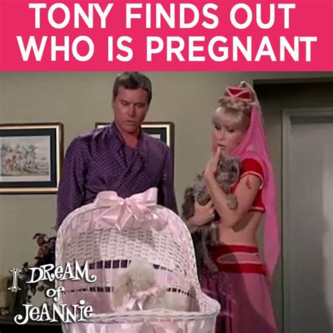 Tony Finds Out Who Is Pregnant | I Dream Of Jeannie | puppy, astronaut, dog, Barbara Eden | Tony ...