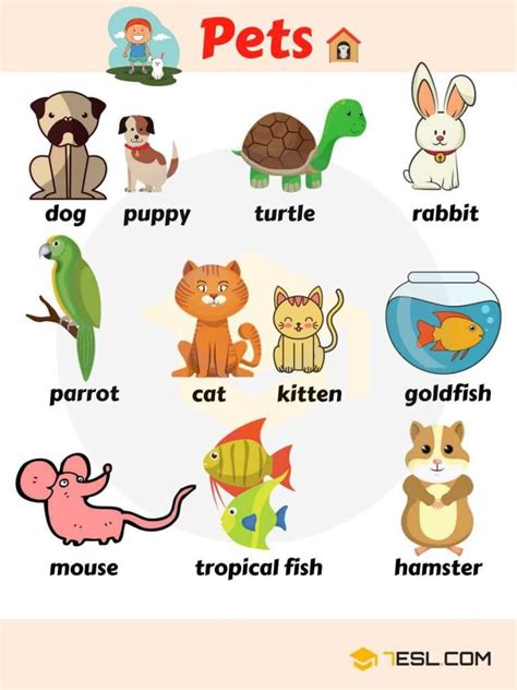 Learn 1000+ Animal Names in English | Animals name in english, English vocabulary, English ...