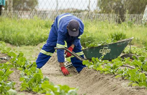 Devenir jardinier paysagiste : comment faire ? • Jardinage et bricolage à domicile