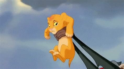 Lion King Simba GIFs - Find & Share on GIPHY