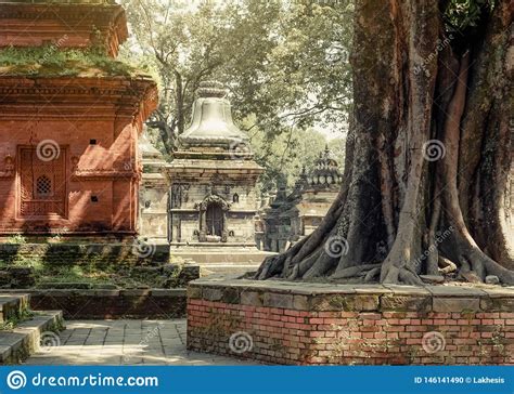 Hindu Shrine Pashupatinath Temple. Place for Cremation Ceremony on Bagmati River Stock Photo ...