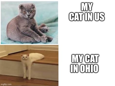 memes-ohio Memes & GIFs - Imgflip