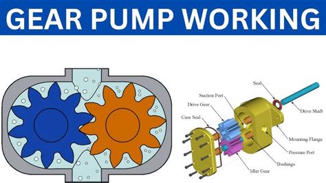 Hydraulic Gear Pump Animation