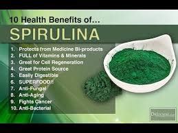 8 Benefits Of Spirulina & Chlorella – The Wellness Project
