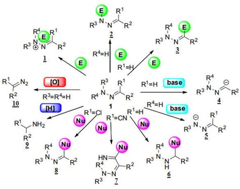 Reactions of hydrazones with different types of reagents [10]. | Download Scientific Diagram