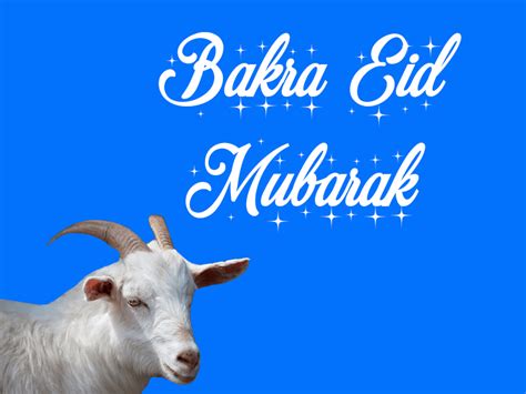 Bakra Eid 2024 - Eid al-Adha Qurbani