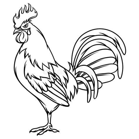 Rooster Clipart Black And White