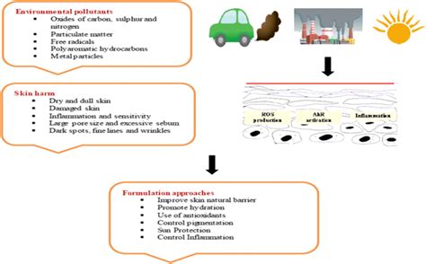 Causes and effects of pollution and anti-pollution approaches ...