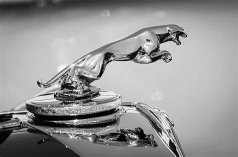 1947 Jaguar Hood Ornament -1053bw by Jill Reger | Jaguar hood ornament ...