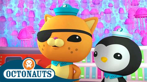 @Octonauts - Surrounded by Jellyfish | Full Episode 36 | Cartoons for Kids - YouTube