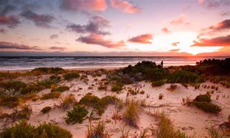 Goolwa Beach Holiday Rentals & Homes - South Australia, Australia | Airbnb