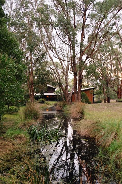 The Burrow At Wombat Bend