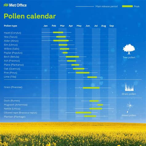 What’s the pollen forecast this year? | Official blog of the Met Office news team