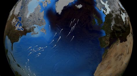 NASA SVS | The Thermohaline Circulation - The Great Ocean Conveyor Belt