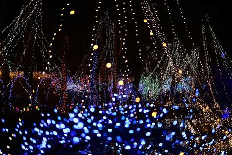 2023 Holiday Light Show Recap | Rotary Botanical Gardens