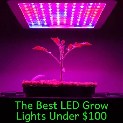 Best LED Grow Light Under $100 (Reviewed And Compared)