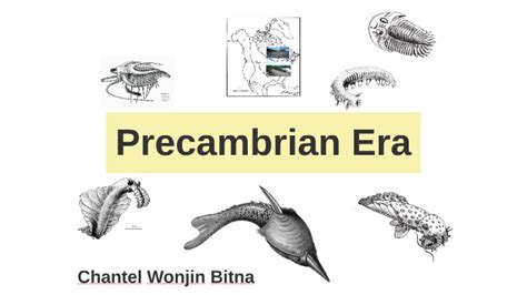 Describe the Life Forms of Precambrian Time