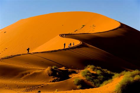 Experience the Scenery and Wildlife of Namibia | Fred. Holidays