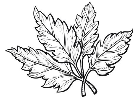 Happy Fall Leaves - Coloring Page