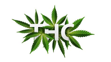 thc, logo, signo, símbolo. Título 3d decorado con hojas de cannabis aislado sobre fondo blanco ...