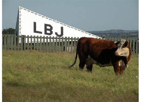 LBJ Ranch in Texas | Texas ranch, Texas hill country, Loving texas