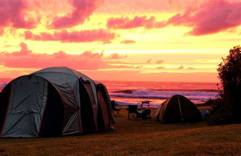 Little Beach campground | NSW National Parks