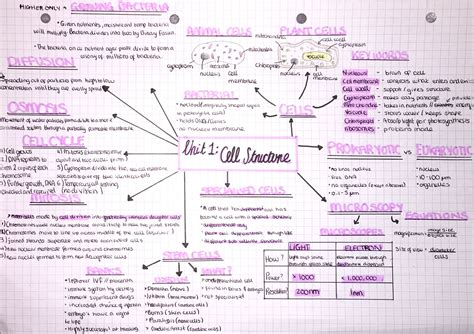 Aqa Gcse Biology Unit Cell Structure Mind Map Study Mindmap | SexiezPix ...